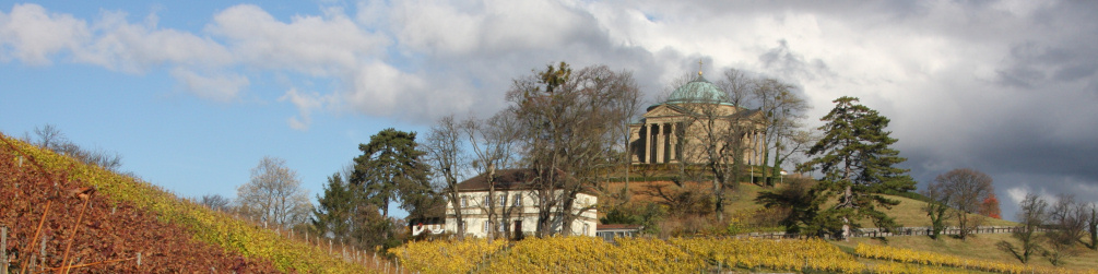 Schwäbischer Albverein | Ortsgruppe Untertürkheim-Rotenberg